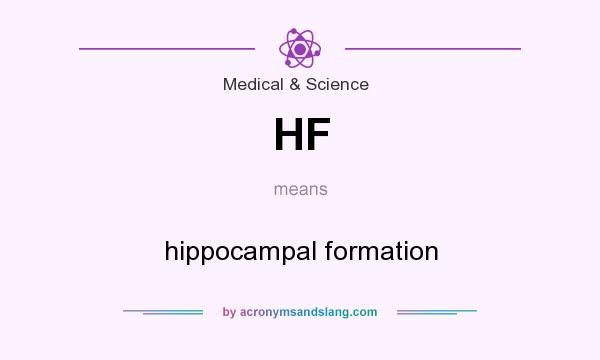 What does HF mean? It stands for hippocampal formation