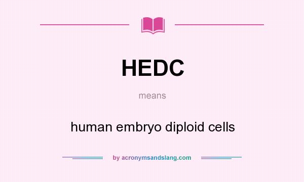 What does HEDC mean? It stands for human embryo diploid cells