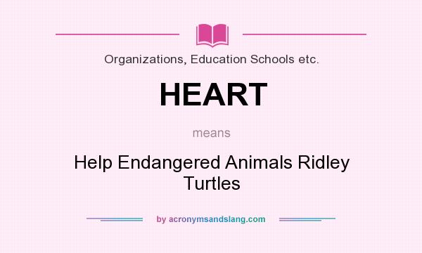 What does HEART mean? It stands for Help Endangered Animals Ridley Turtles