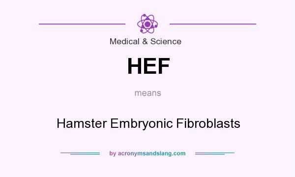 What does HEF mean? It stands for Hamster Embryonic Fibroblasts