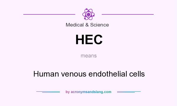 What does HEC mean? It stands for Human venous endothelial cells