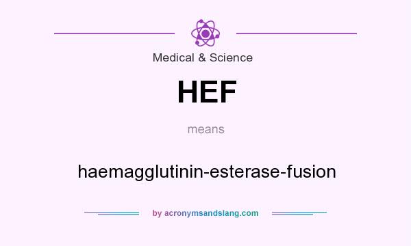 What does HEF mean? It stands for haemagglutinin-esterase-fusion