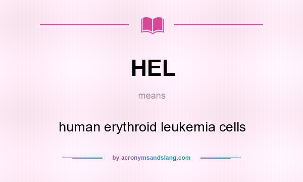 What does HEL mean? It stands for human erythroid leukemia cells