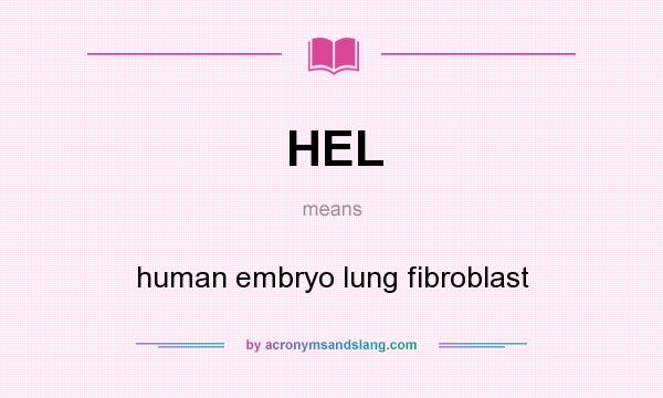 What does HEL mean? It stands for human embryo lung fibroblast