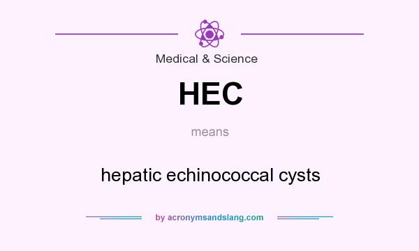 What does HEC mean? It stands for hepatic echinococcal cysts