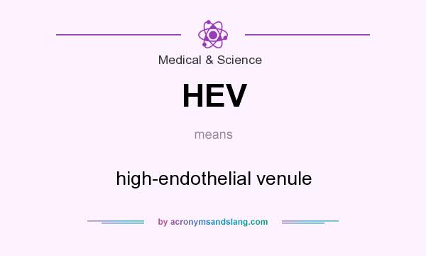 What does HEV mean? It stands for high-endothelial venule