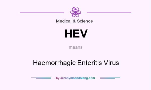 What does HEV mean? It stands for Haemorrhagic Enteritis Virus