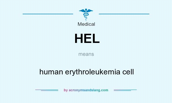 What does HEL mean? It stands for human erythroleukemia cell