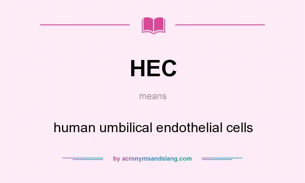 What does HEC mean? It stands for human umbilical endothelial cells