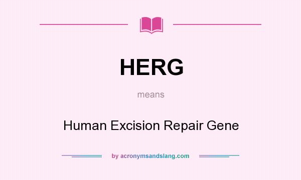 What does HERG mean? It stands for Human Excision Repair Gene