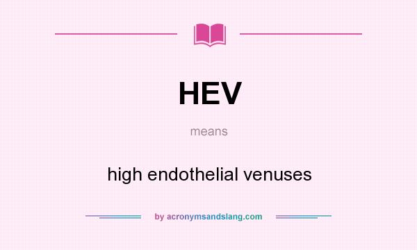 What does HEV mean? It stands for high endothelial venuses