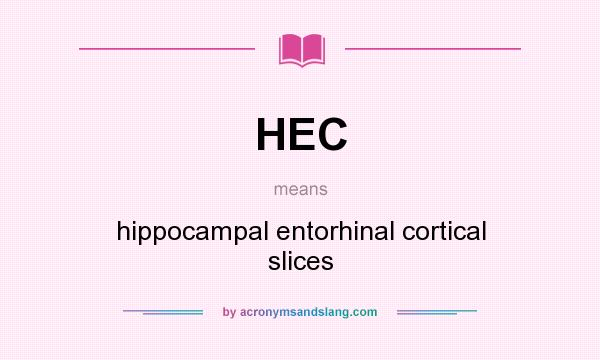 What does HEC mean? It stands for hippocampal entorhinal cortical slices
