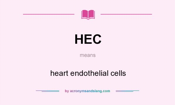 What does HEC mean? It stands for heart endothelial cells