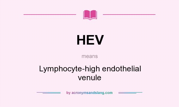 What does HEV mean? It stands for Lymphocyte-high endothelial venule