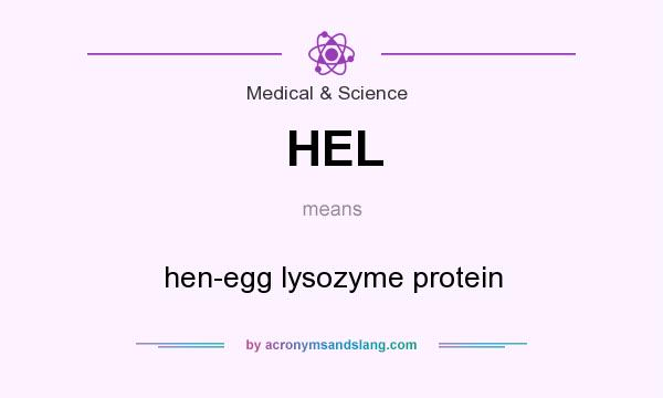 What does HEL mean? It stands for hen-egg lysozyme protein