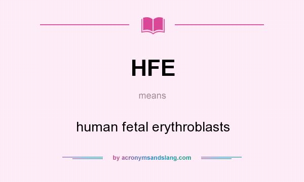 What does HFE mean? It stands for human fetal erythroblasts
