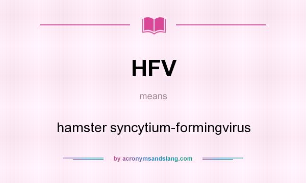 What does HFV mean? It stands for hamster syncytium-formingvirus