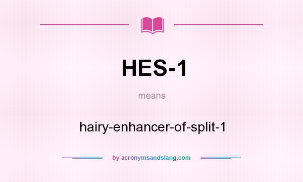 What does HES-1 mean? It stands for hairy-enhancer-of-split-1