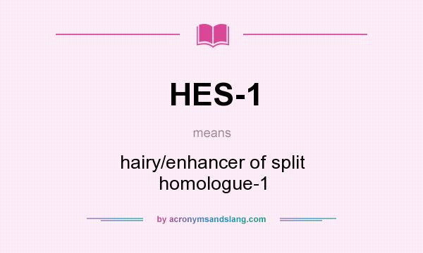 What does HES-1 mean? It stands for hairy/enhancer of split homologue-1