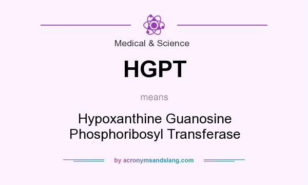 What does HGPT mean? It stands for Hypoxanthine Guanosine Phosphoribosyl Transferase
