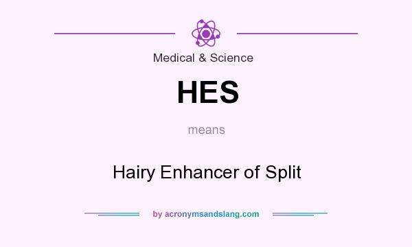 What does HES mean? It stands for Hairy Enhancer of Split