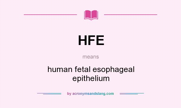 What does HFE mean? It stands for human fetal esophageal epithelium