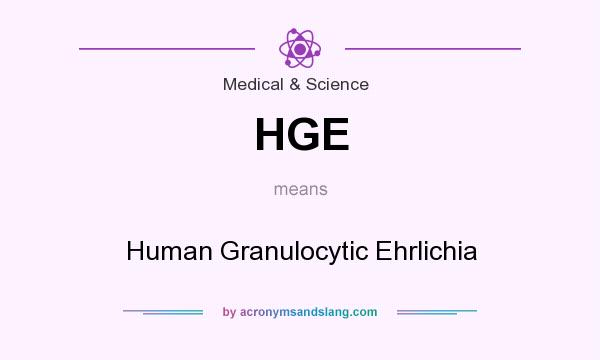 What does HGE mean? It stands for Human Granulocytic Ehrlichia