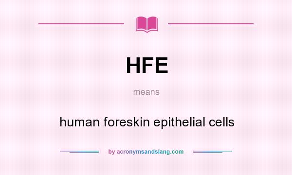 What does HFE mean? It stands for human foreskin epithelial cells
