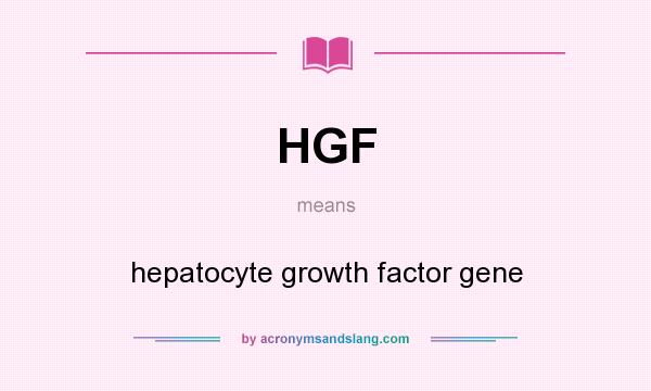 What does HGF mean? It stands for hepatocyte growth factor gene