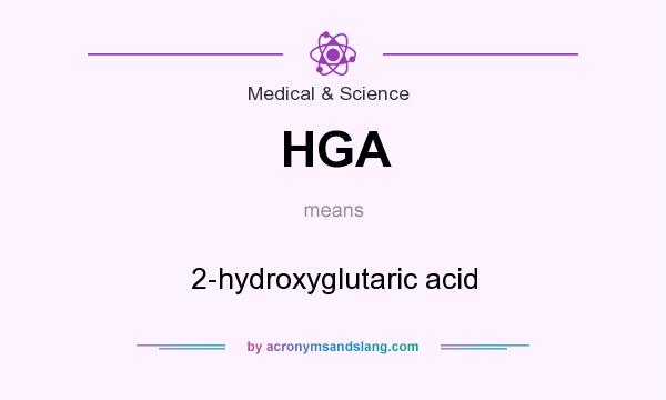 What does HGA mean? It stands for 2-hydroxyglutaric acid