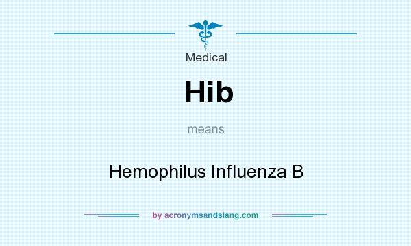 What does Hib mean? It stands for Hemophilus Influenza B