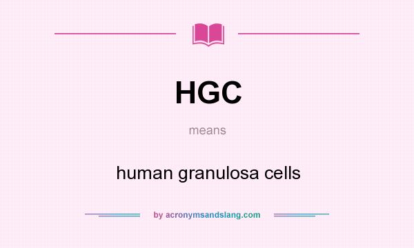 What does HGC mean? It stands for human granulosa cells