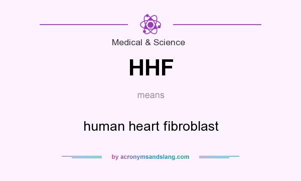 What does HHF mean? It stands for human heart fibroblast