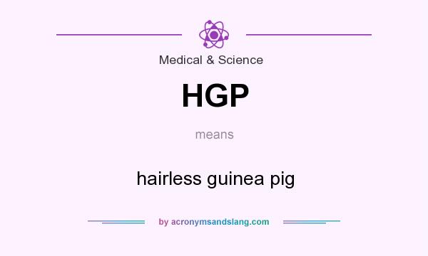What does HGP mean? It stands for hairless guinea pig