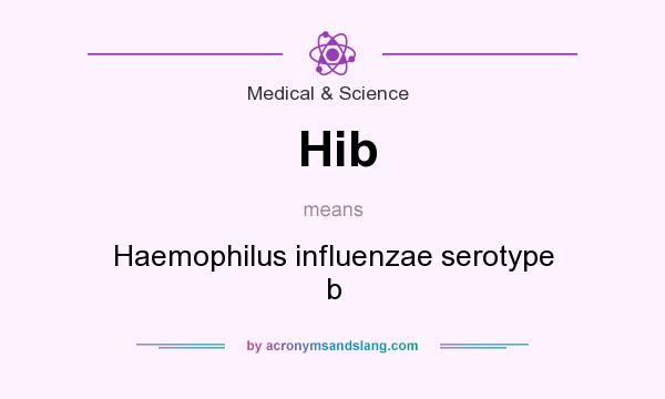 What does Hib mean? It stands for Haemophilus influenzae serotype b