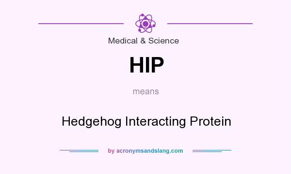 What does HIP mean? It stands for Hedgehog Interacting Protein