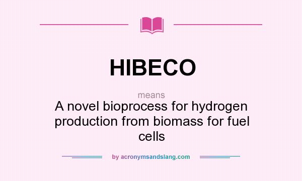 What does HIBECO mean? It stands for A novel bioprocess for hydrogen production from biomass for fuel cells
