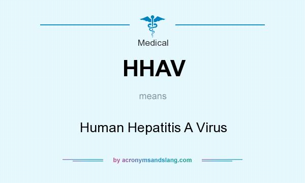 What does HHAV mean? It stands for Human Hepatitis A Virus