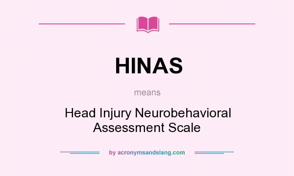 What does HINAS mean? It stands for Head Injury Neurobehavioral Assessment Scale