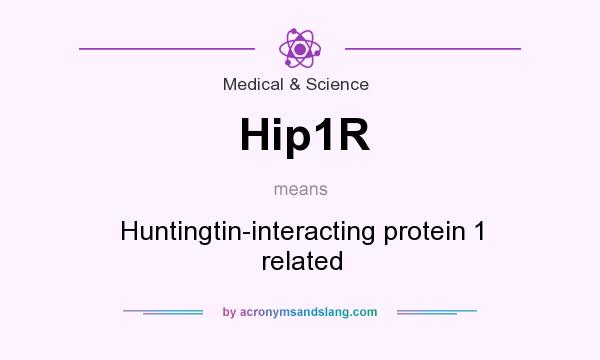 What does Hip1R mean? It stands for Huntingtin-interacting protein 1 related
