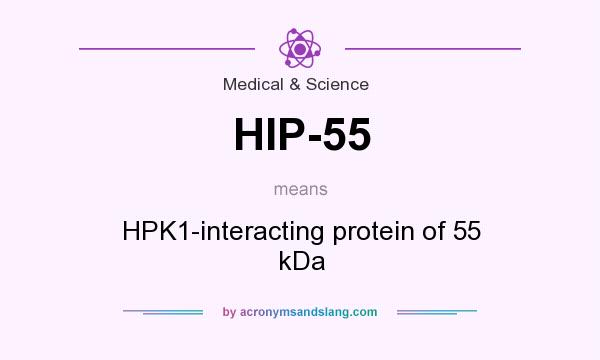 What does HIP-55 mean? It stands for HPK1-interacting protein of 55 kDa