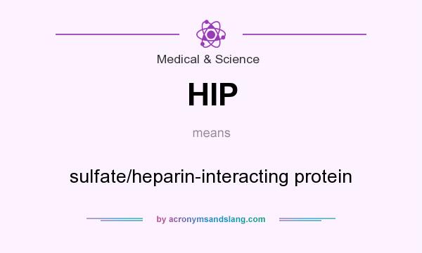 What does HIP mean? It stands for sulfate/heparin-interacting protein