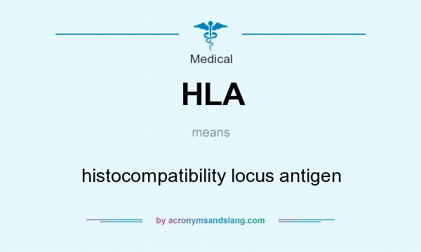 What does HLA mean? It stands for histocompatibility locus antigen