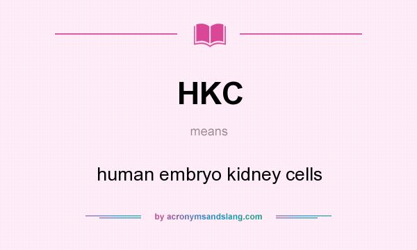 What does HKC mean? It stands for human embryo kidney cells
