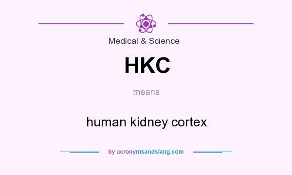 What does HKC mean? It stands for human kidney cortex