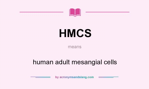 What does HMCS mean? It stands for human adult mesangial cells