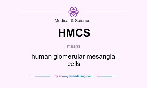 What does HMCS mean? It stands for human glomerular mesangial cells