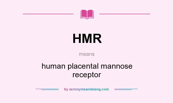 What does HMR mean? It stands for human placental mannose receptor