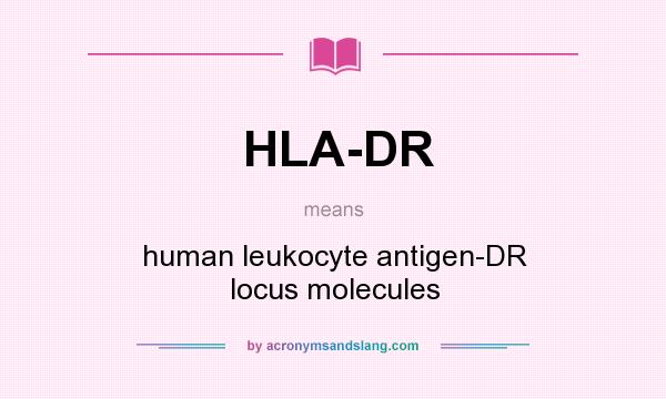 What does HLA-DR mean? It stands for human leukocyte antigen-DR locus molecules