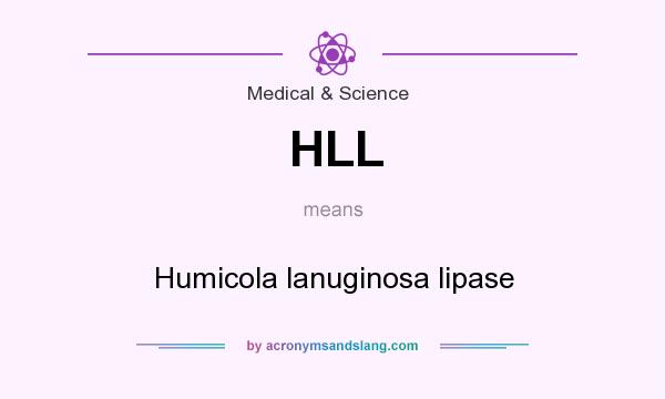 What does HLL mean? It stands for Humicola lanuginosa lipase